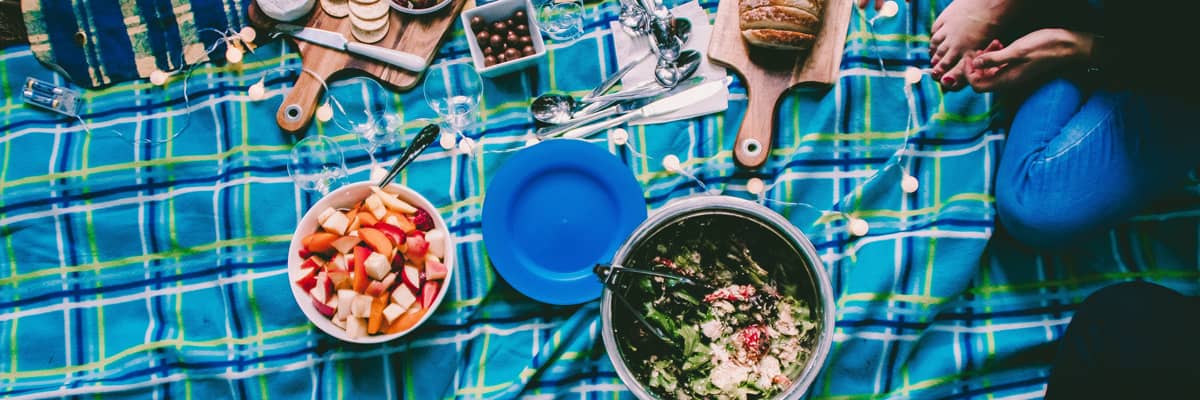 Organize a School Picnic